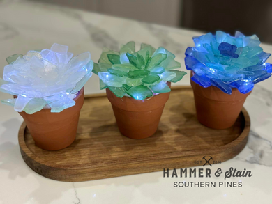 05/31/2024 Friday @ 6pm Sea Glass Succulent Workshop (Southern Pines)